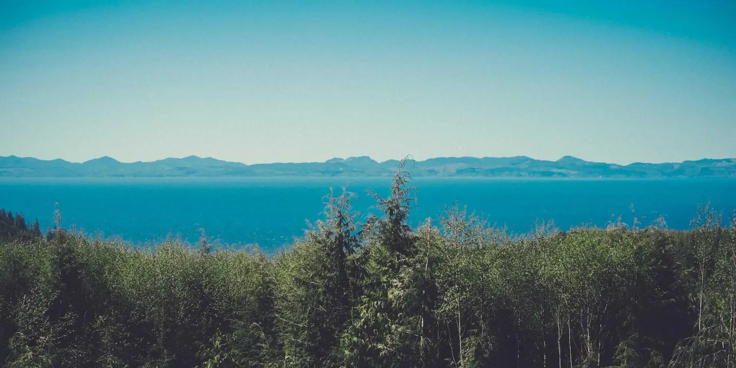 Pine forest above a blue sound